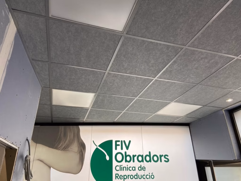 Interior reformado de la clínica FIV Obradors en Figueres con falso techo e iluminación